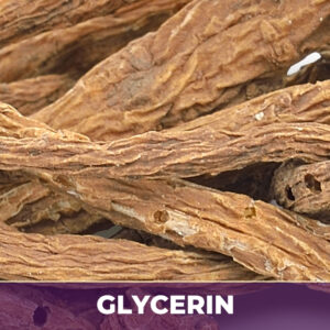 Angelica Root in Glycerin