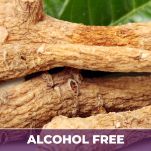 American Ginseng Alcohol-Free Extract