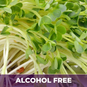 Alfalfa Alcohol-Free Liquid Extract