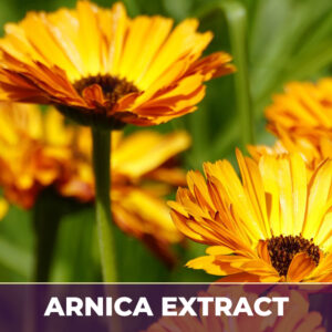 Arnica Extract
