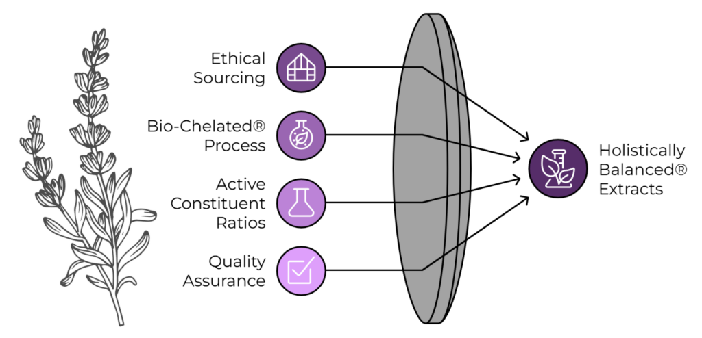 Holistically Balanced Extract Constituents Spectrum Diagram