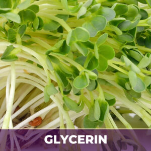 Alfalfa Leaf in Glycerin Extract