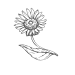 Bio-Botanica Leadership & Excellence