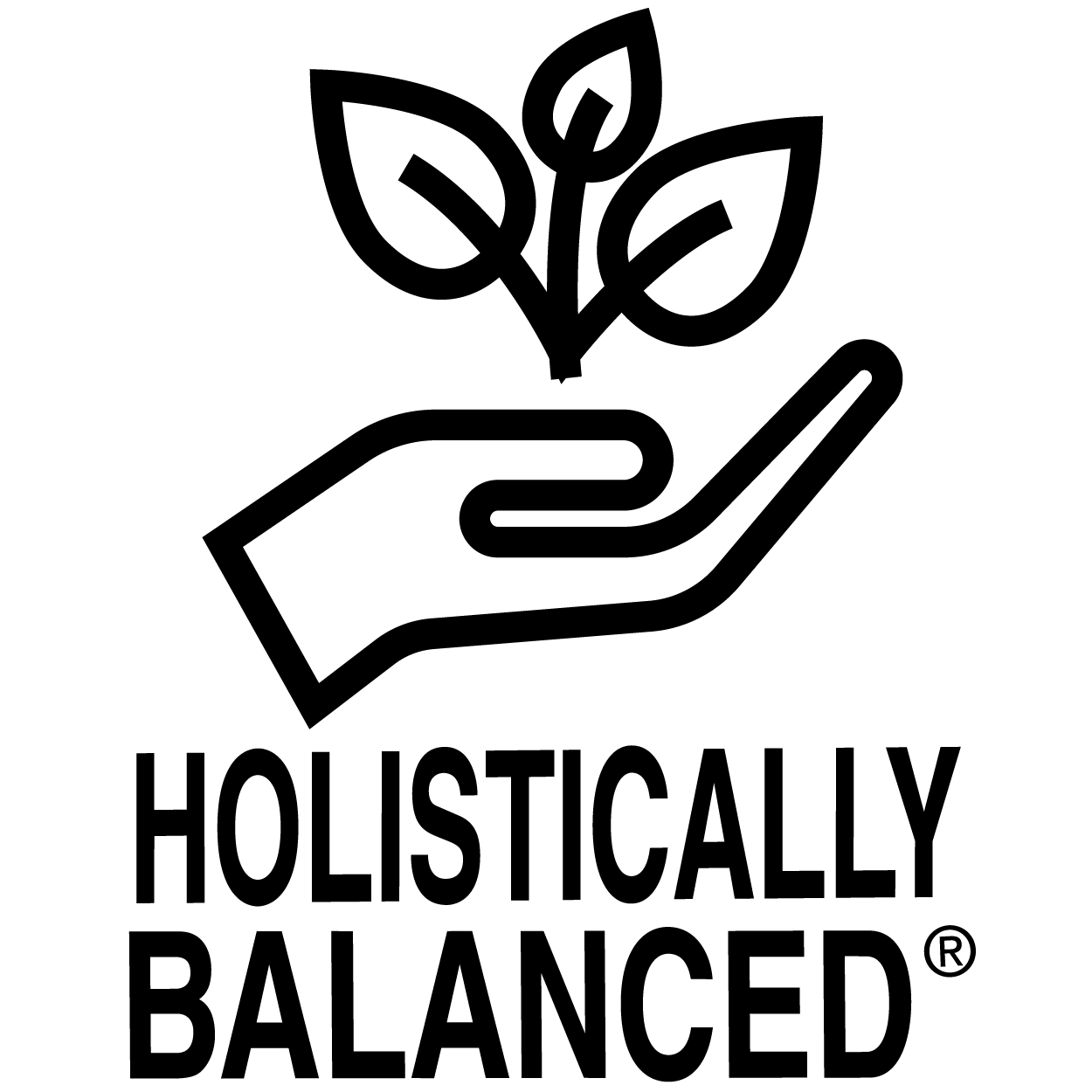 Holistic Balance Icon